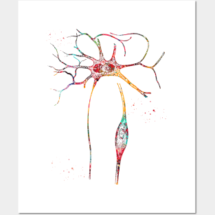 Neurons Cells Posters and Art